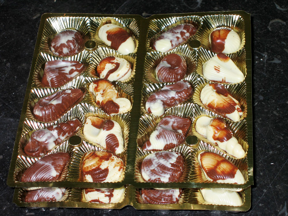 Chocolate moulding line