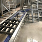 Rademaker_bread_production_line_12