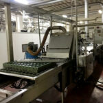 Trivi_cupcake_line_ 06