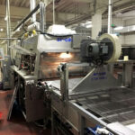 Trivi_cupcake_line_ 18