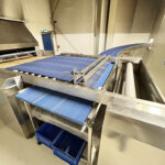 Pizza_production_line_ 24