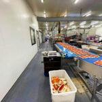 Rondo_pizza_production_line_004