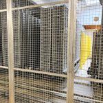 Brüel_crate_washing_line_08