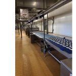 Croissant_and_Danish_pastry_line_06