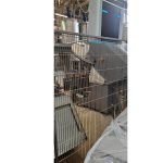 Diosna_mixing_system_02