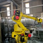 Cupcake_production_line_04