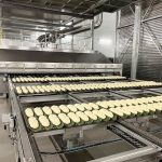 Complete_baguette_plant_07