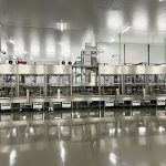 Complete_baguette_plant_12