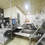 Bun_and_roll_line_03