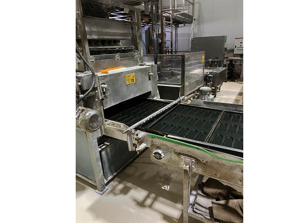 AMF bun production line