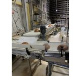 AMF_bun_production_line_11