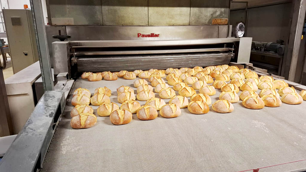Complete bread production line